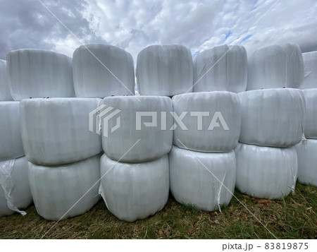 秋の高原地帯にある牧草 83819875