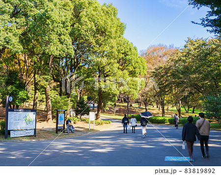 代々木公園　西門 83819892