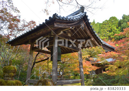 2021年11月の早朝に参拝した京都槙尾山西明寺の鐘楼を囲む紅葉が素晴らしい 83820333