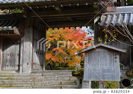 2021年11月の早朝に参拝した京都槙尾山西明寺の表門から見える真っ赤な紅葉が見事 2021年11月の早朝に参拝した京都槙尾山西明寺の表門から見える真っ赤な紅葉が見事 83820334