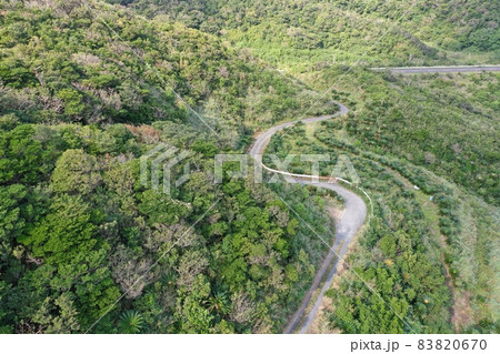 奄美の龍郷町の今井崎の鯨浜への道 83820670