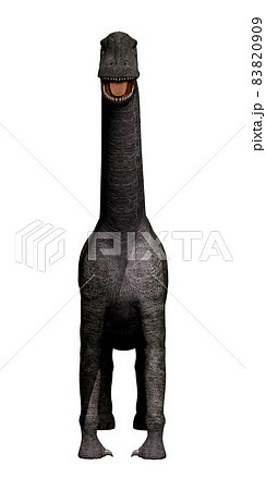 ブラキオサウルス☆Brachiosaurus 83820909