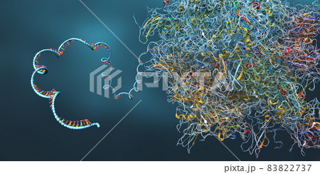 Ribosome as part of an biological cell constructing messenger rna molecule - 3d illustration 83822737