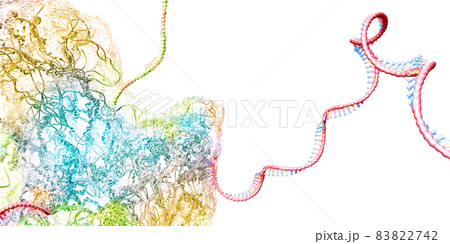 Ribosome as part of an biological cell constructing messenger rna molecule - 3d illustration 83822742