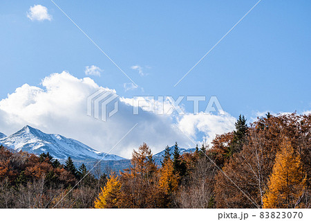 秋の冠雪した乗鞍岳と紅葉 秋の冠雪した乗鞍岳と紅葉 83823070