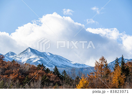 秋の冠雪した乗鞍岳と紅葉 秋の冠雪した乗鞍岳と紅葉 83823071