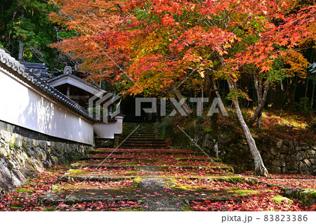 荘厳寺の紅葉 荘厳寺の紅葉 83823386