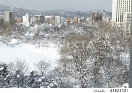 冬2月の札幌・中島公園を近隣のホテルの部屋から見る様子 83823522