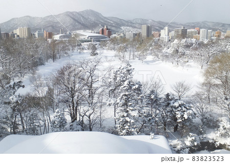 冬2月の札幌・中島公園を近隣のホテルの部屋から見る様子 83823523