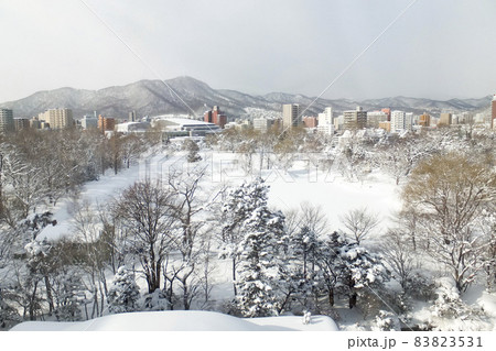 冬2月の札幌・中島公園を近隣のホテルの部屋から見る様子 83823531