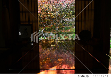 慧日寺の紅葉 83823573