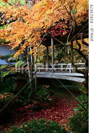 慧日寺の紅葉 83823679