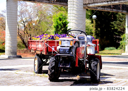お花を摘んだ耕運機 ぐんまフラワーパーク お花を摘んだ耕運機 ぐんまフラワーパーク 83824224
