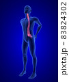 Spine Pain. Blue Human Anatomy Body 3D render on blue background 83824302