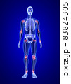 Joint pain. Blue Human Anatomy Body and Skeleton 3D Scan render on blue background from front view 83824305