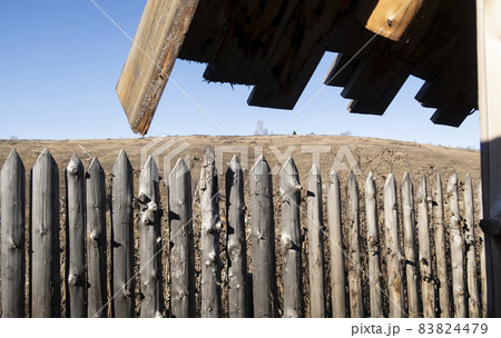 Fence made of rough sharpened logs in village in Siberia, with a clear field to the horizon 83824479