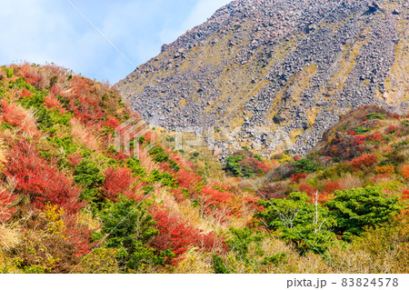 雲仙岳の紅葉 登山道からの平成新山 【長崎県雲仙市】 雲仙岳の紅葉 登山道からの平成新山 【長崎県雲仙市】 83824578