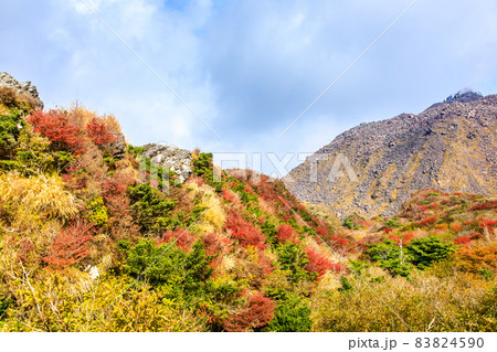 雲仙岳の紅葉 登山道からの平成新山 【長崎県雲仙市】 雲仙岳の紅葉 登山道からの平成新山 【長崎県雲仙市】 83824590
