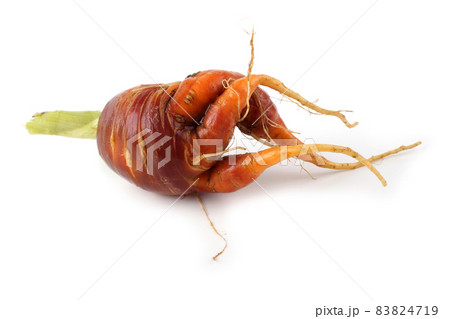 Funny ugly carrot isolated on white Funny ugly carrot isolated on white 83824719
