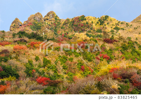 雲仙岳の紅葉 普賢岳からの眺め 【長崎県雲仙市】 雲仙岳の紅葉 普賢岳からの眺め 【長崎県雲仙市】 83825465
