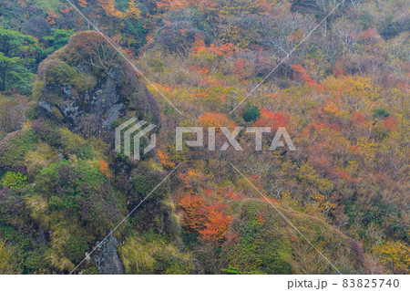 雲仙岳の紅葉 立岩の峰からの眺め 【長崎県雲仙市】 雲仙岳の紅葉 立岩の峰からの眺め 【長崎県雲仙市】 83825740