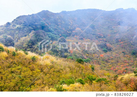 雲仙岳の紅葉 立岩の峰からの平成新山 【長崎県雲仙市】 雲仙岳の紅葉 立岩の峰からの平成新山 【長崎県雲仙市】 83826027