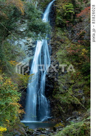 原不動滝の紅葉 原不動滝の紅葉 83826028