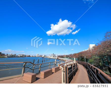 東京葛飾に流れる中川と遊歩道 83827931