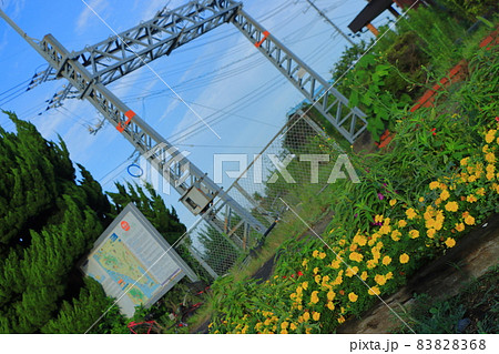終着駅(JR小野田支線_長門本山駅) 83828368
