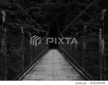奥多摩にある森の中の吊橋 83828696