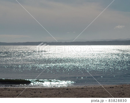 光る海 光る海 83828830