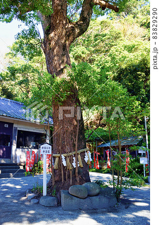 鎌倉 八雲神社の新羅三郎手玉石（鎌倉市大町） 83829290