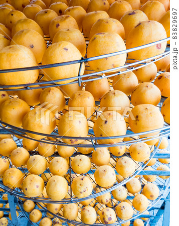 dried up persimmon under the sun in Xinpu township, Hsinchu, Taiwan 83829697