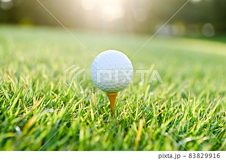 ゴルフイメージ 83829916