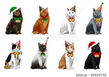 クリスマスの8匹の猫のイラスト素材 [83830730] - PIXTA