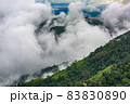 Clouds, mist, cover the mountain peaks, tropical rainforests, Thailand 83830890