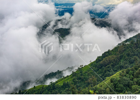 Clouds, mist, cover the mountain peaks, tropical rainforests, Thailand Clouds, mist, cover the mountain peaks, tropical rainforests, Thailand 83830890