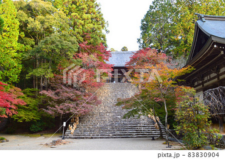 2021年11月の早朝に参拝した京都市高尾神護寺の石段が無人で清々しい 2021年11月の早朝に参拝した京都市高尾神護寺の石段が無人で清々しい 83830904