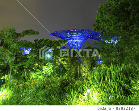 Picture of Gardens by the bay park in Singapore during nighttime in September 83832137