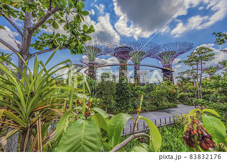 Panoramic picture from Gardens by the Bay in Singapore during daytime Panoramic picture from Gardens by the Bay in Singapore during daytime 83832176
