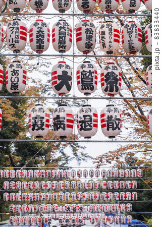 酉の市 提灯 商売繁盛 鳥居 神社 酉の市 提灯 商売繁盛 鳥居 神社 83833440