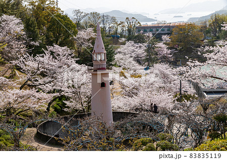 尾道　千光寺公園の春　桜満開 83835119