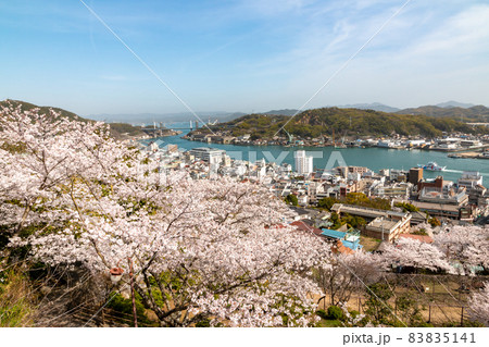 尾道　千光寺公園の春　桜満開 83835141