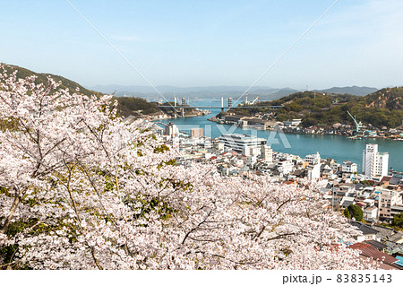 尾道　千光寺公園の春　桜満開 83835143