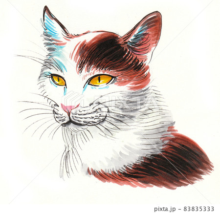 Cat portrait. ink and watercolour drawing Cat portrait. ink and watercolour drawing 83835333