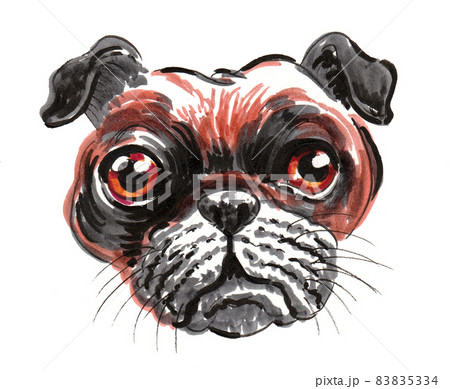 Cute bulldog puppy. Ink and watercolour drawing 83835334