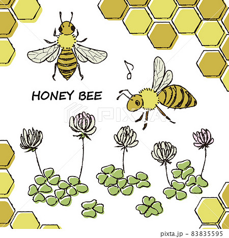 Honey Bee And Clover White Backgroundのイラスト素材 5595