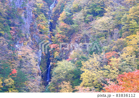 高山村の八滝 高山村の八滝 83836112