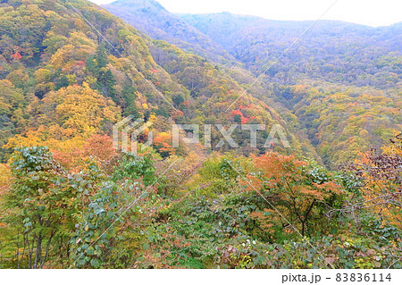 高山村の八滝 83836114