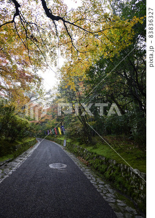 赤山禅院 参道 赤山禅院 参道 83836327
